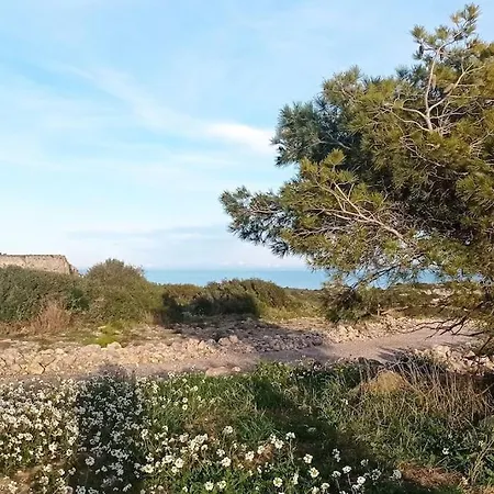 Vue * Narbonne-Plage
